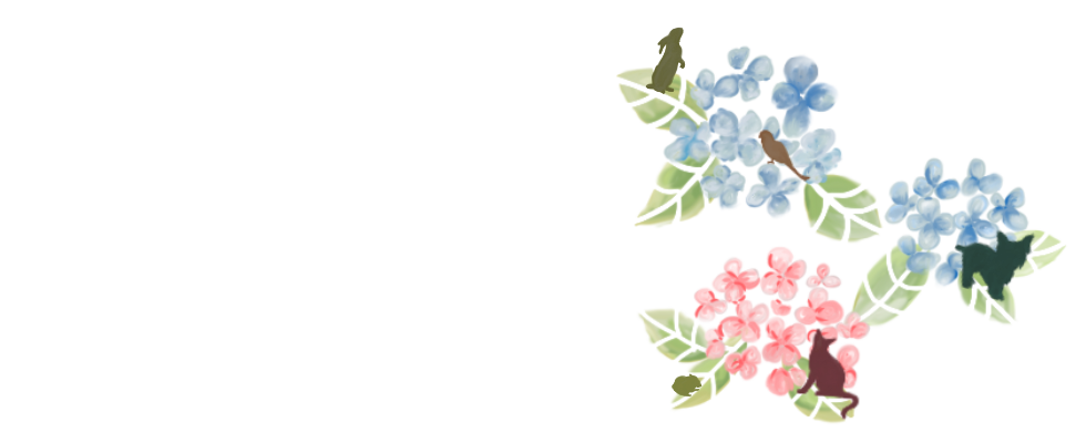 6月絵