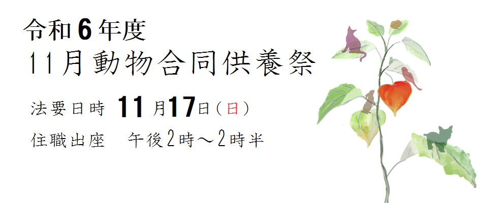 11月合同供養祭<br /> 日時 11月17日（日）