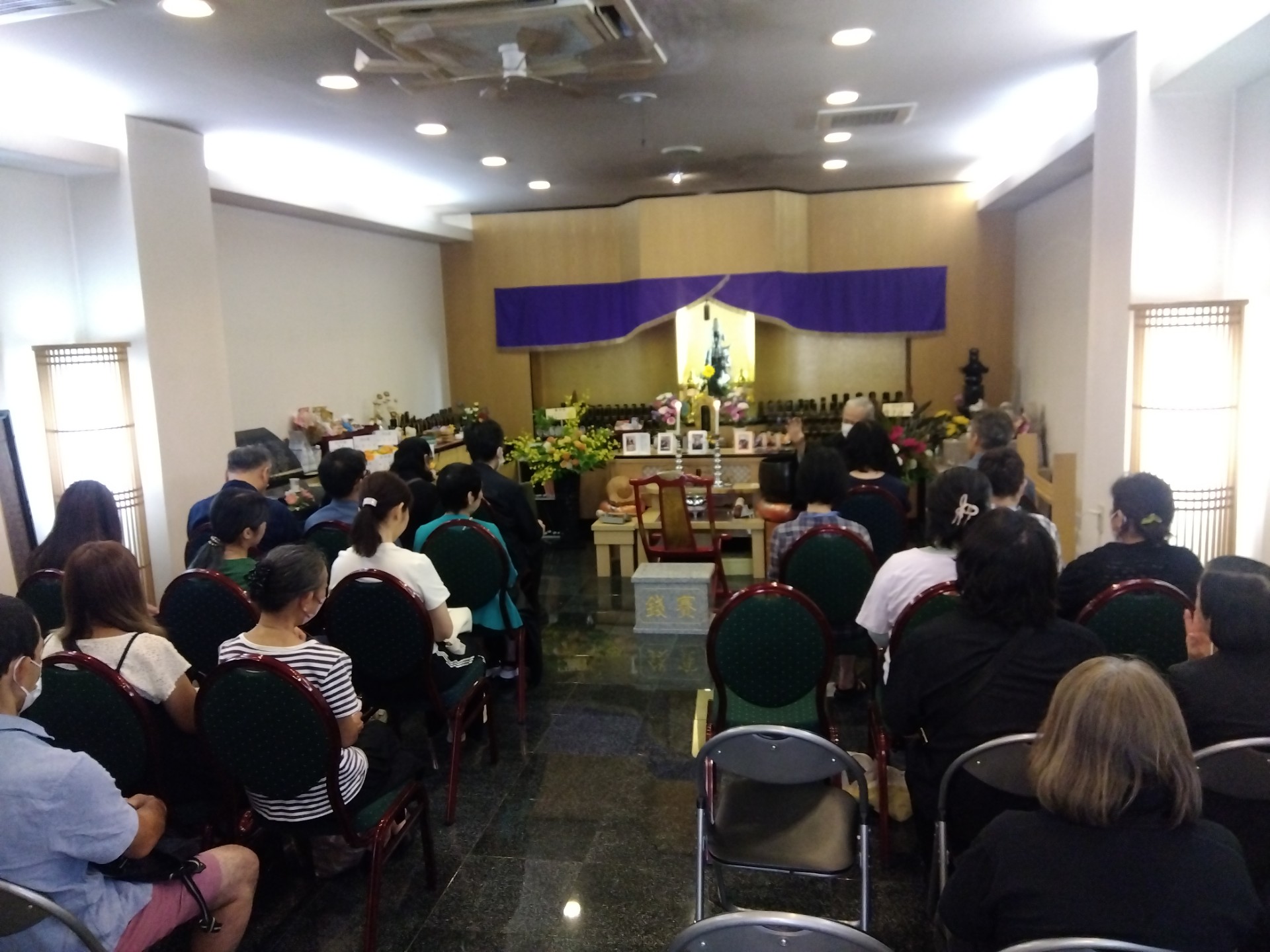 image (11)