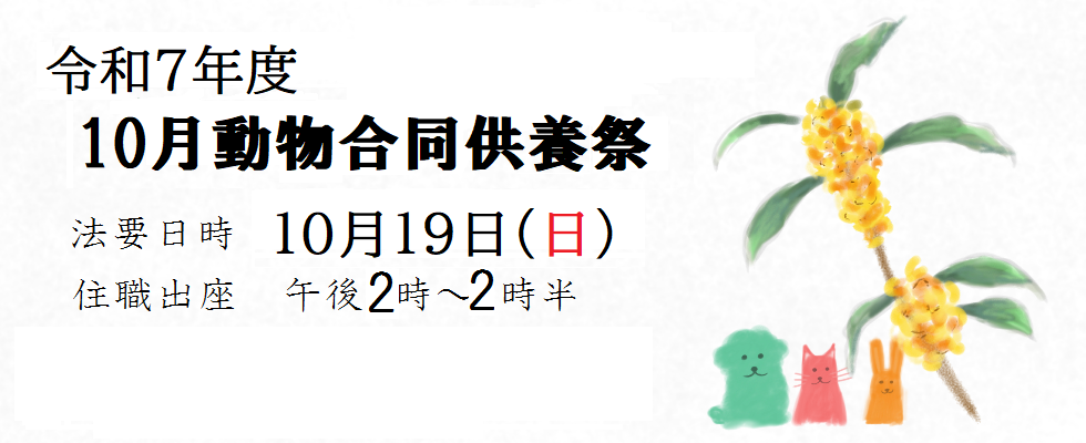 10月合同供養<br /> 日時 10月19日