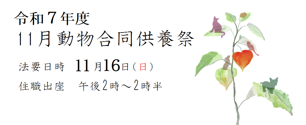 2025年11月合同動物供養祭