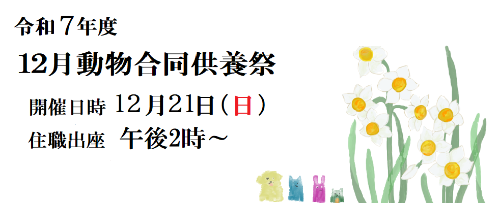 2025年12月合同動物供養祭