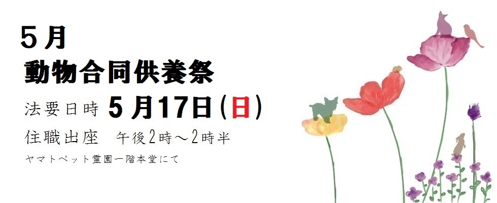 5月供養祭<br /> 日時 5月17日