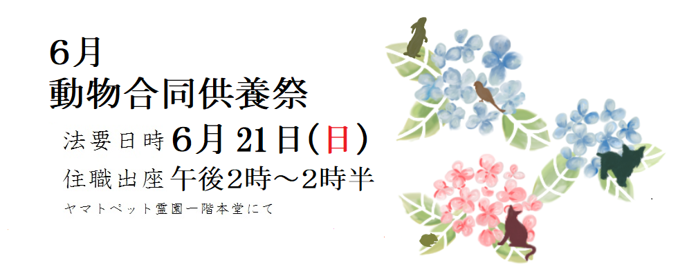 6月供養祭<br /> 日時 6月21日