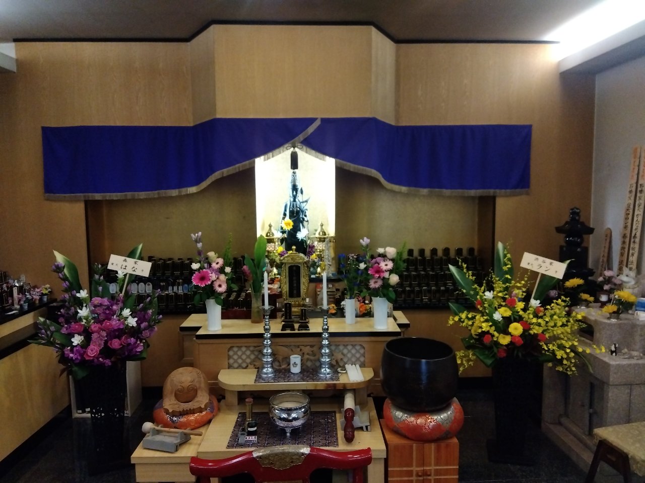 image (11)