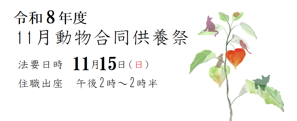 11月合同供養祭<br /> 日時 11月15日